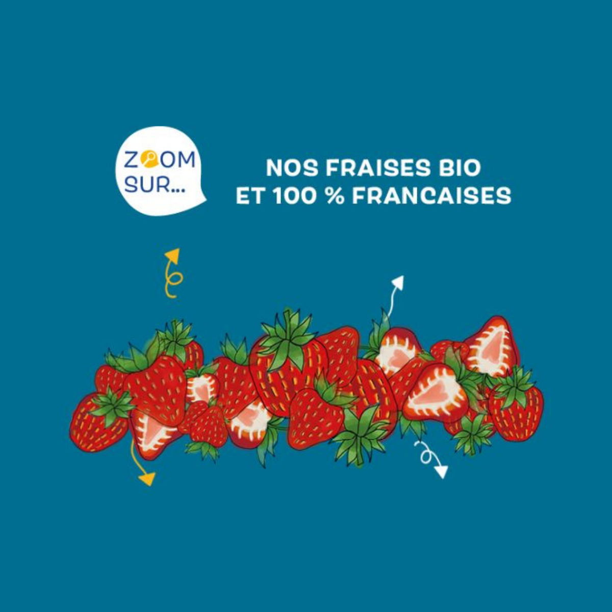 La filière "fraises" bio et 100 % française chez Biocoop des Grands Lacs